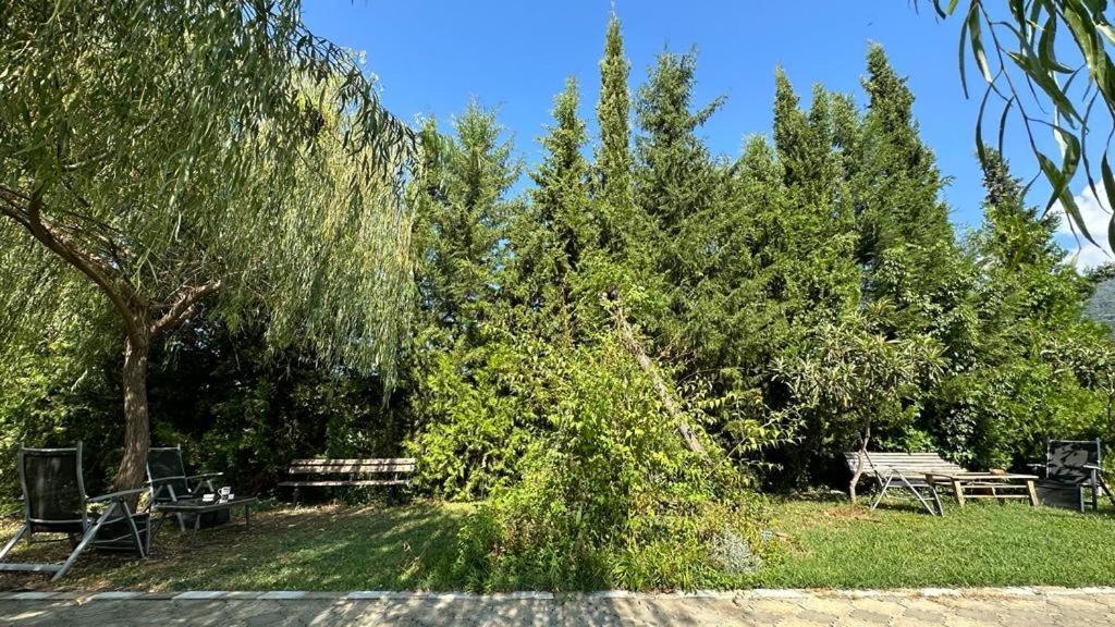 Green House Кварели Екстериор снимка